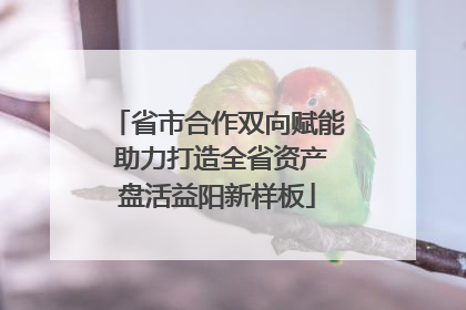 省市合作双向赋能 助力打造全省资产盘活益阳新样板