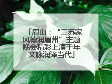 眉山：“三苏家风德润眉州”主题晚会精彩上演千年文脉润泽当代