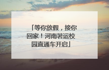 等你放假，接你回家！河南暑运校园直通车开启