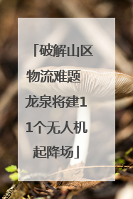 破解山区物流难题 龙泉将建11个无人机起降场