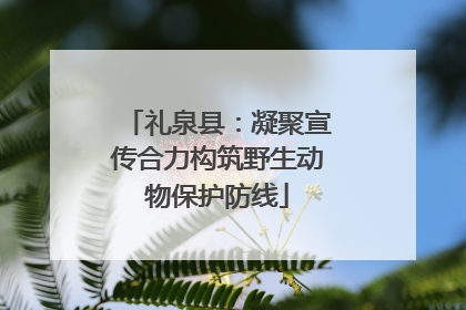 礼泉县：凝聚宣传合力构筑野生动物保护防线
