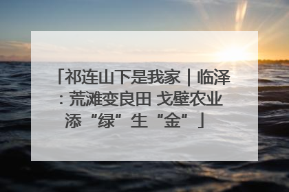 祁连山下是我家｜临泽：荒滩变良田 戈壁农业添“绿”生“金”