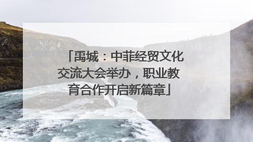 禹城：中菲经贸文化交流大会举办，职业教育合作开启新篇章