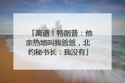 离谱！特朗普：他亲热地叫我爸爸，北约秘书长：我没有