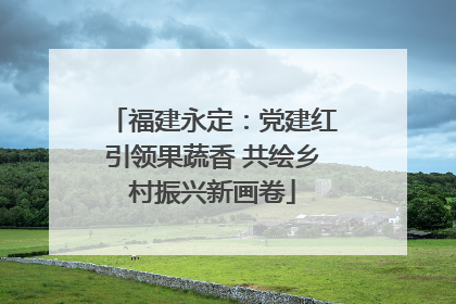 福建永定：党建红引领果蔬香 共绘乡村振兴新画卷