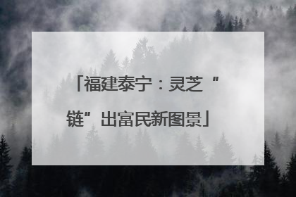 福建泰宁：灵芝“链”出富民新图景