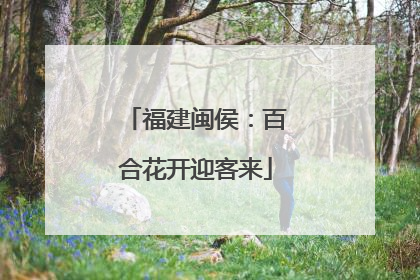 福建闽侯：百合花开迎客来