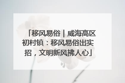 移风易俗｜威海高区初村镇：移风易俗出实招，文明新风拂人心