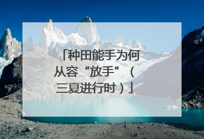 种田能手为何从容“放手”（三夏进行时）
