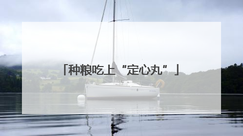 种粮吃上“定心丸”