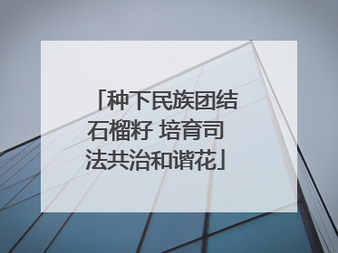 种下民族团结石榴籽 培育司法共治和谐花