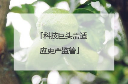 科技巨头需适应更严监管