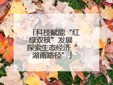 科技赋能“红绿双核”发展 探索生态经济“湖南路径”