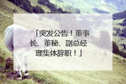 突发公告！董事长、董秘、副总经理集体辞职！