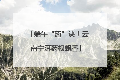 端午“药”诀！云南宁洱药根飘香