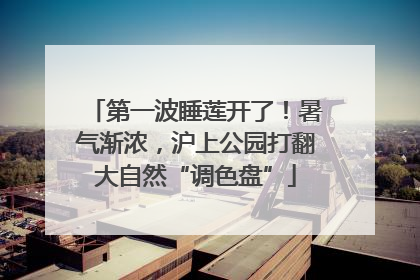 第一波睡莲开了！暑气渐浓，沪上公园打翻大自然“调色盘”