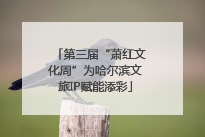 第三届“萧红文化周”为哈尔滨文旅IP赋能添彩