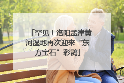 罕见！洛阳孟津黄河湿地再次迎来“东方宝石”彩鹮
