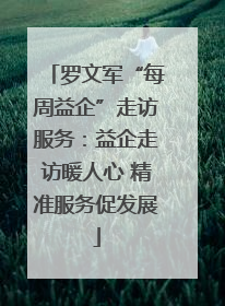 罗文军“每周益企”走访服务：益企走访暖人心 精准服务促发展