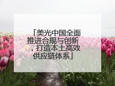 美光中国全面推进合规与创新，打造本土高效供应链体系