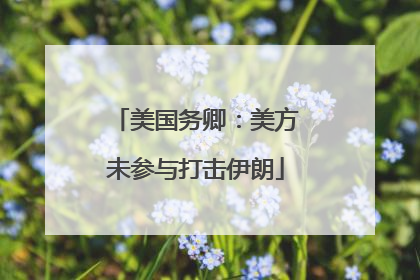 美国务卿：美方未参与打击伊朗