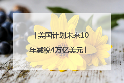 美国计划未来10年减税4万亿美元