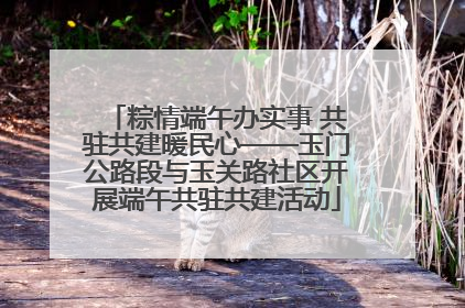 粽情端午办实事 共驻共建暖民心——玉门公路段与玉关路社区开展端午共驻共建活动