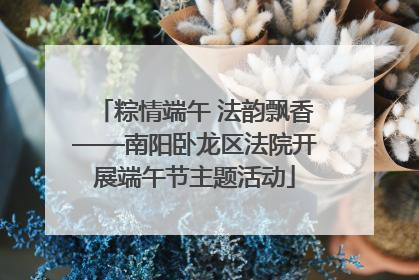 粽情端午 法韵飘香——南阳卧龙区法院开展端午节主题活动