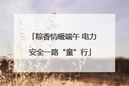 粽香情暖端午 电力安全一路“童”行
