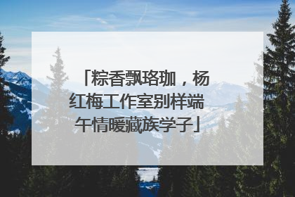 粽香飘珞珈，杨红梅工作室别样端午情暖藏族学子