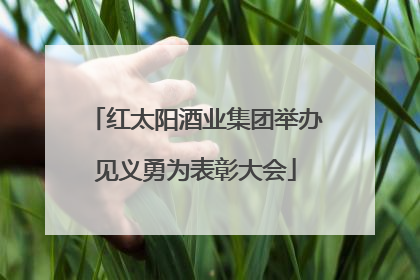 红太阳酒业集团举办见义勇为表彰大会