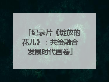纪录片《绽放的花儿》：共绘融合发展时代画卷