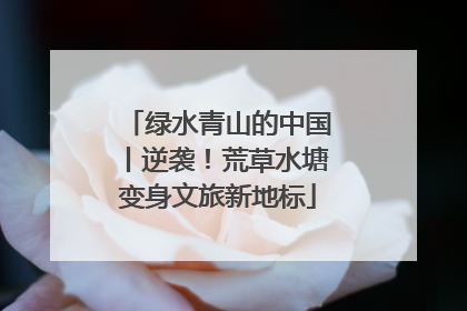 绿水青山的中国丨逆袭！荒草水塘变身文旅新地标