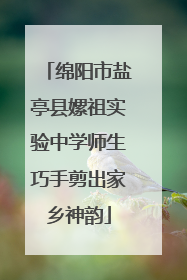 绵阳市盐亭县嫘祖实验中学师生巧手剪出家乡神韵