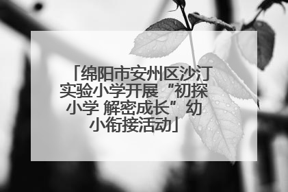 绵阳市安州区沙汀实验小学开展“初探小学 解密成长”幼小衔接活动