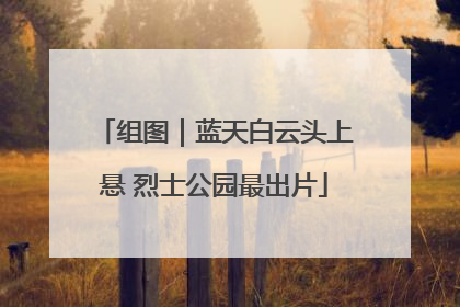 组图｜蓝天白云头上悬 烈士公园最出片