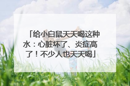 给小白鼠天天喝这种水：心脏坏了、炎症高了！不少人也天天喝