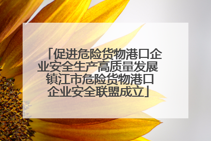 促进危险货物港口企业安全生产高质量发展 镇江市危险货物港口企业安全联盟成立