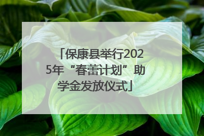 保康县举行2025年“春蕾计划”助学金发放仪式