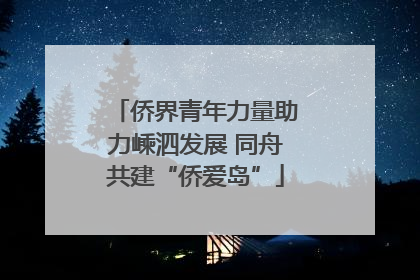 侨界青年力量助力嵊泗发展 同舟共建“侨爱岛”
