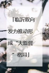 临沂双向发力推动形成“大监督”格局