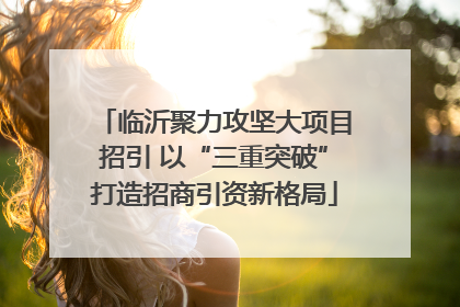 临沂聚力攻坚大项目招引 以“三重突破”打造招商引资新格局