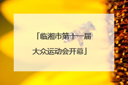 临湘市第十一届大众运动会开幕