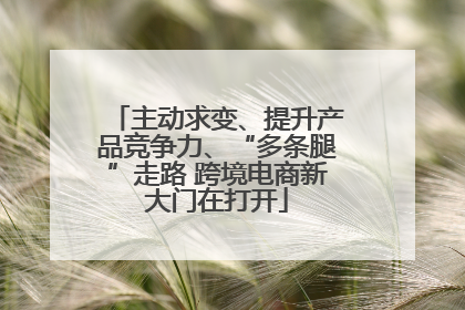 主动求变、提升产品竞争力、“多条腿”走路 跨境电商新大门在打开