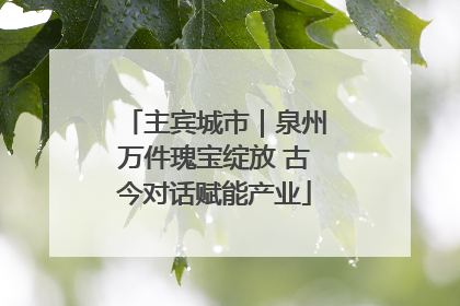 主宾城市｜泉州万件瑰宝绽放 古今对话赋能产业