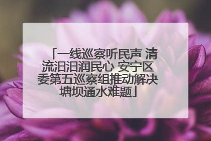 一线巡察听民声 清流汨汨润民心 安宁区委第五巡察组推动解决塘坝通水难题