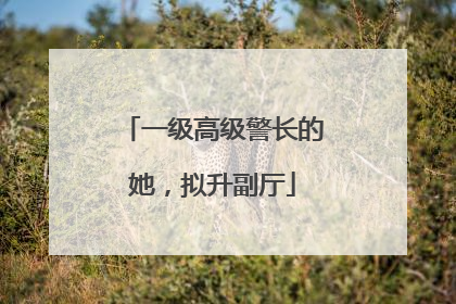 一级高级警长的她，拟升副厅