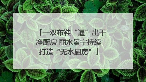 一双布鞋“逼”出干净厨房 丽水景宁持续打造“无水厨房”