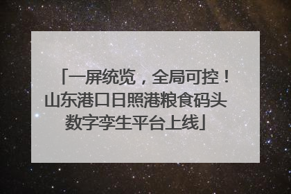 一屏统览，全局可控！山东港口日照港粮食码头数字孪生平台上线