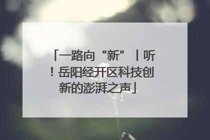 一路向“新”丨听！岳阳经开区科技创新的澎湃之声